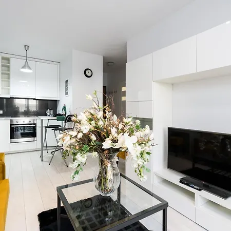 公寓 Czarnieckiego By Renters *