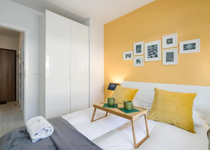 Czarnieckiego By Renters 波兹南